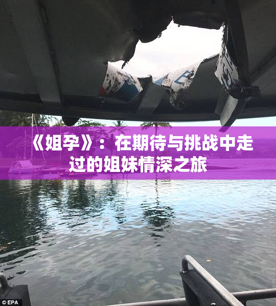 《姐孕》：在期待与挑战中走过的姐妹情深之旅