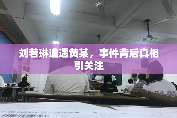 刘若琳遭遇黄某，事件背后真相引关注