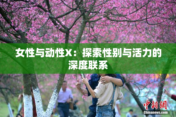 女性与动性X：探索性别与活力的深度联系