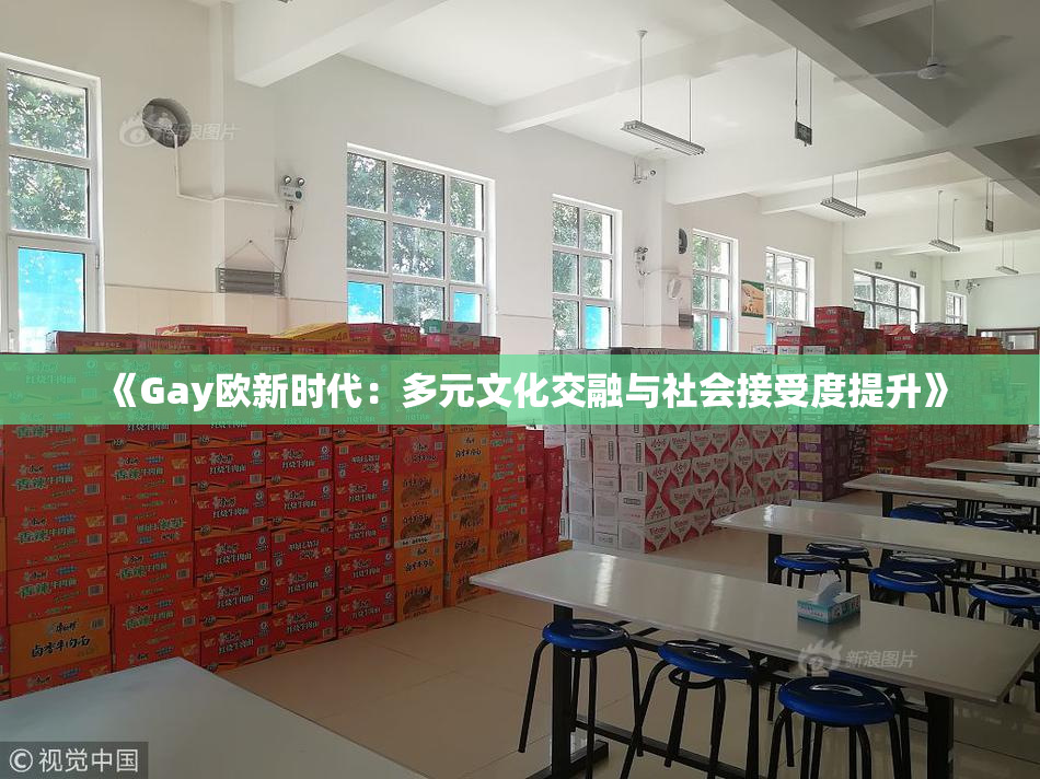 《Gay欧新时代：多元文化交融与社会接受度提升》