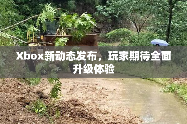 Xbox新动态发布，玩家期待全面升级体验