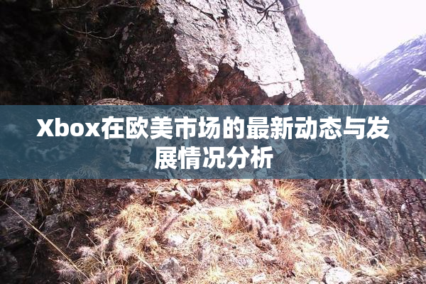 Xbox在欧美市场的最新动态与发展情况分析