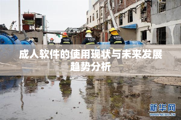 成人软件的使用现状与未来发展趋势分析