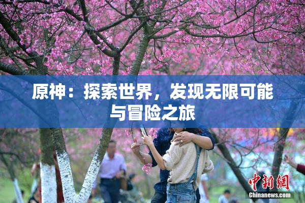 原神：探索世界，发现无限可能与冒险之旅
