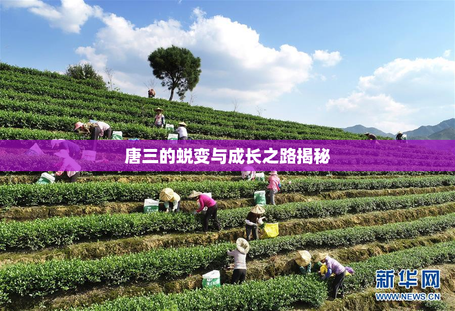 唐三的蜕变与成长之路揭秘