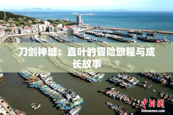 刀剑神域：直叶的冒险旅程与成长故事