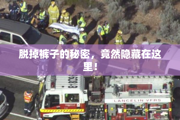 脱掉裤子的秘密，竟然隐藏在这里！