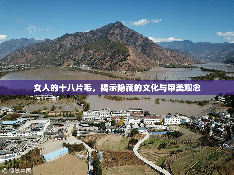 女人的十八片毛，揭示隐藏的文化与审美观念