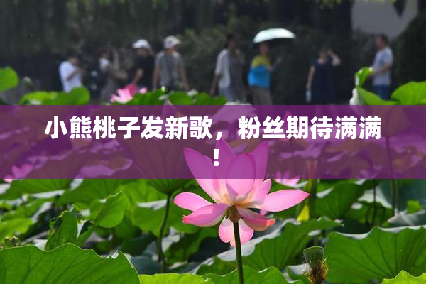 小熊桃子发新歌，粉丝期待满满！
