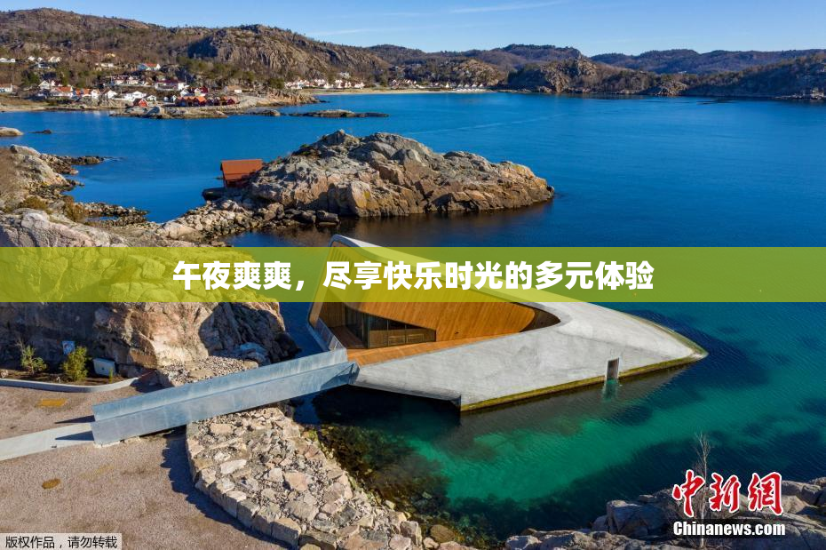 午夜爽爽，尽享快乐时光的多元体验