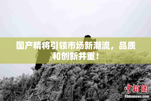 国产精将引领市场新潮流，品质和创新并重！