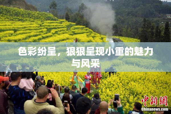 色彩纷呈，狠狠呈现小重的魅力与风采