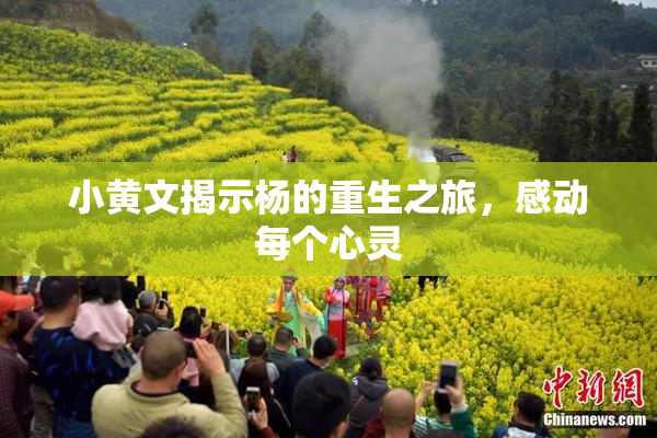 小黄文揭示杨的重生之旅，感动每个心灵