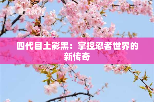 四代目土影黑：掌控忍者世界的新传奇