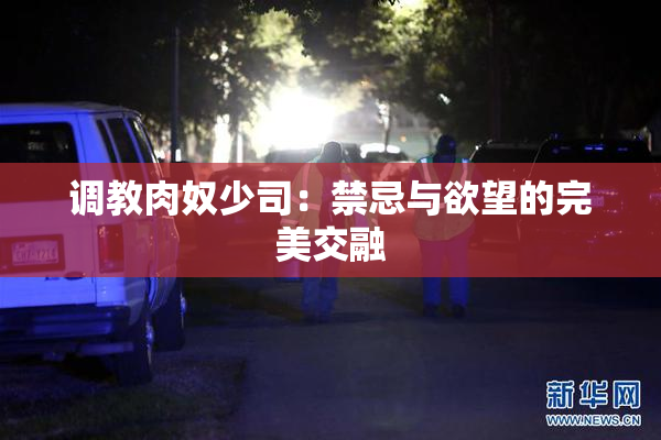 调教肉奴少司：禁忌与欲望的完美交融