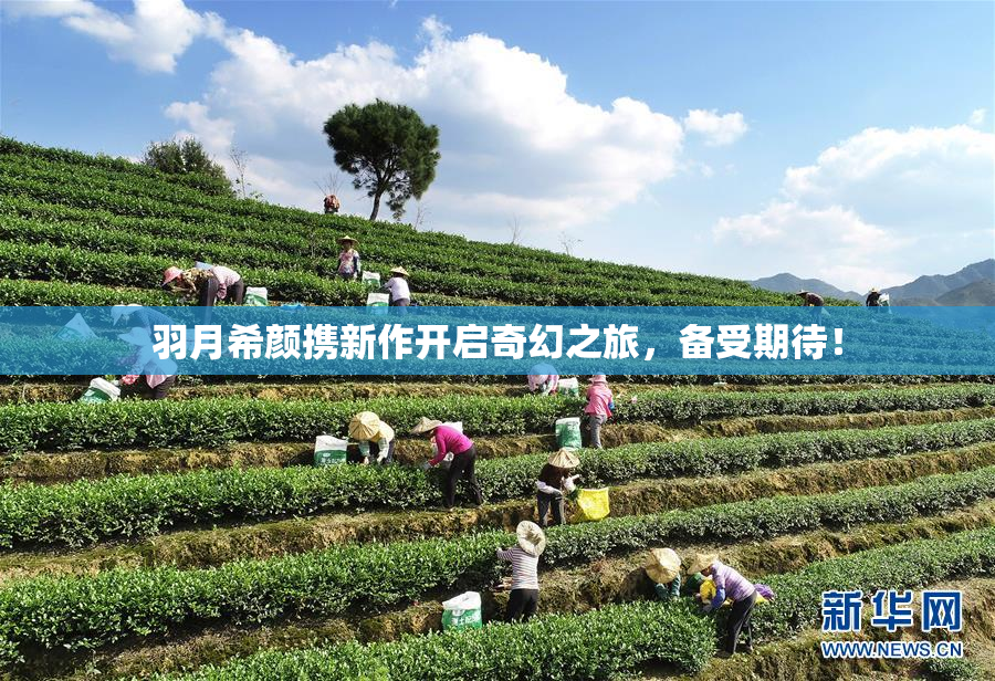 羽月希颜携新作开启奇幻之旅，备受期待！