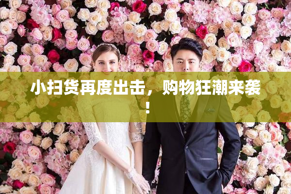 小扫货再度出击，购物狂潮来袭！