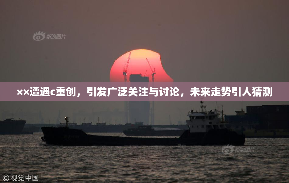 ××遭遇c重创，引发广泛关注与讨论，未来走势引人猜测
