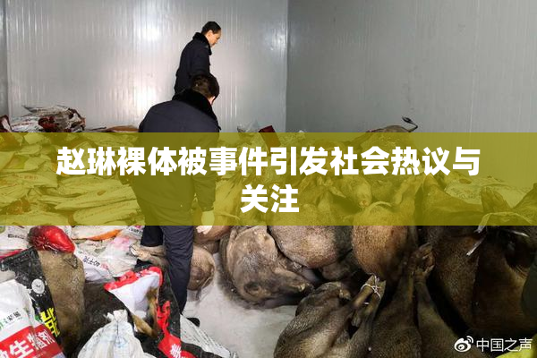 赵琳裸体被事件引发社会热议与关注