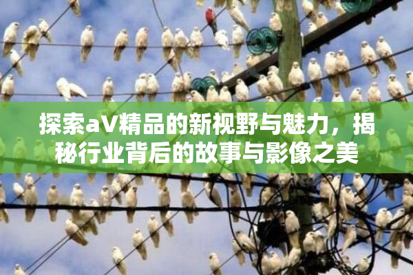 探索aV精品的新视野与魅力，揭秘行业背后的故事与影像之美
