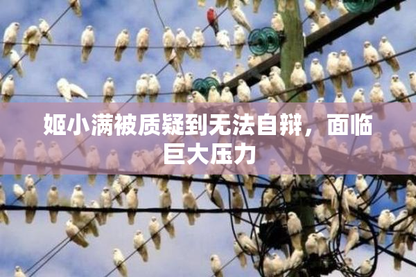 姬小满被质疑到无法自辩，面临巨大压力