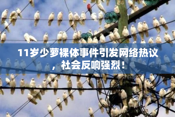 11岁少萝裸体事件引发网络热议，社会反响强烈！