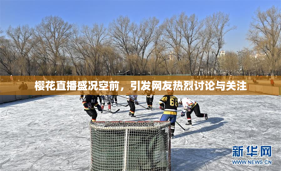 樱花直播盛况空前，引发网友热烈讨论与关注