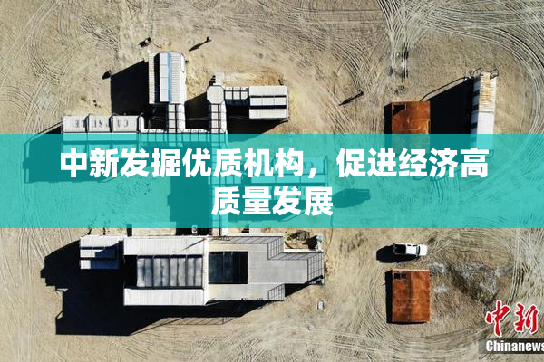 中新发掘优质机构，促进经济高质量发展