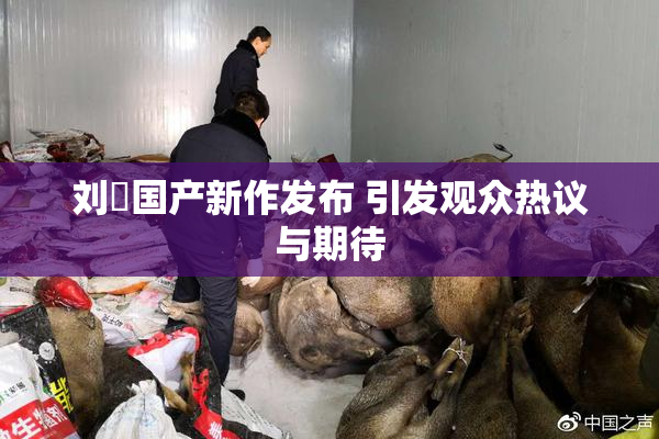 刘玥国产新作发布 引发观众热议与期待