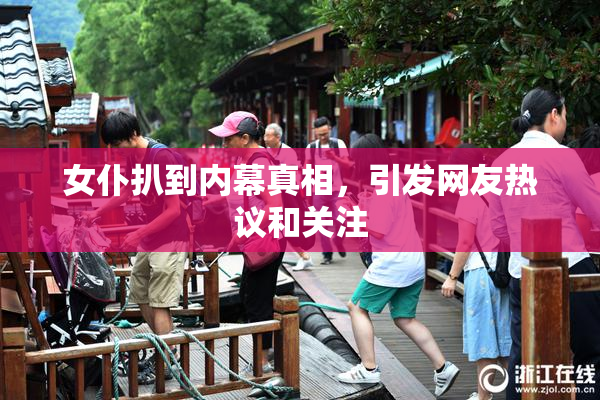 女仆扒到内幕真相，引发网友热议和关注