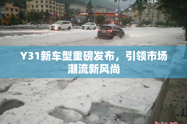 Y31新车型重磅发布，引领市场潮流新风尚