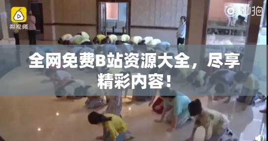 全网免费B站资源大全，尽享精彩内容！