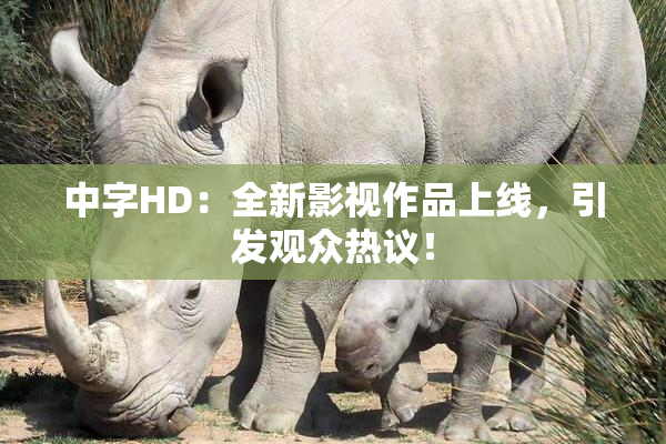 中字HD：全新影视作品上线，引发观众热议！