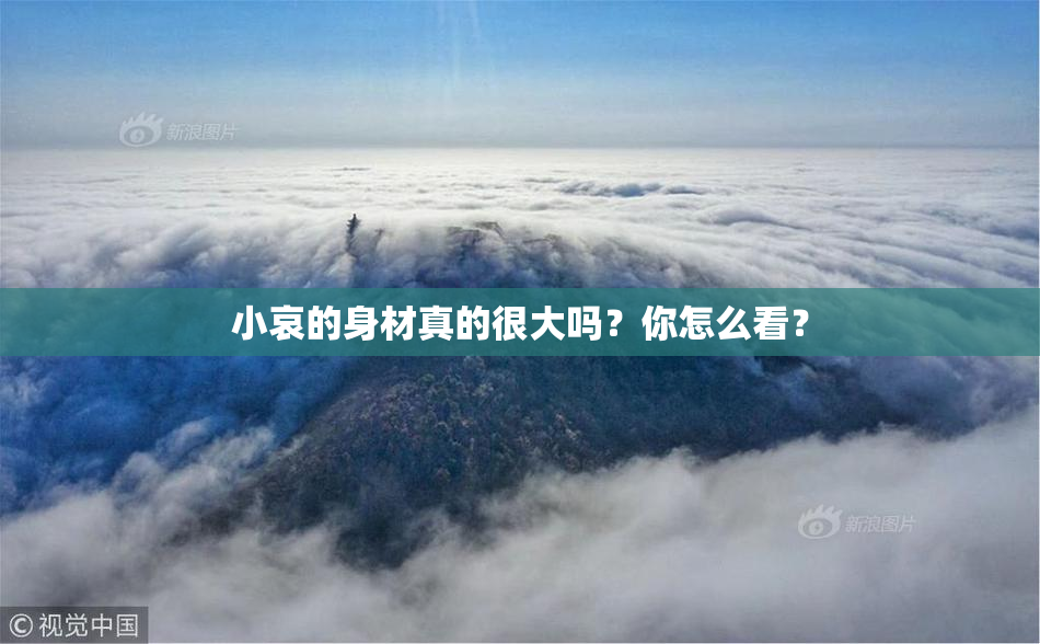 小哀的身材真的很大吗？你怎么看？