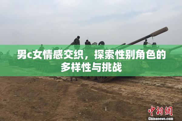 男c女情感交织，探索性别角色的多样性与挑战