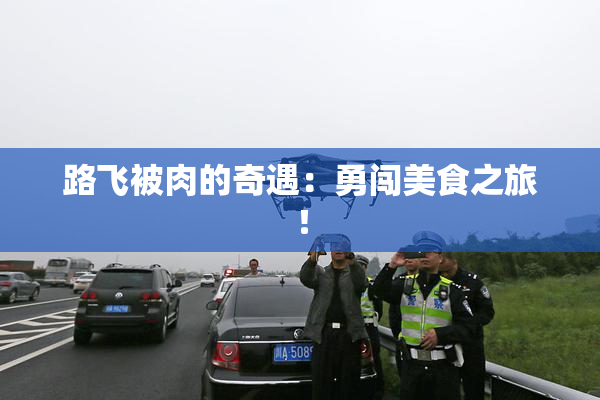 路飞被肉的奇遇：勇闯美食之旅！