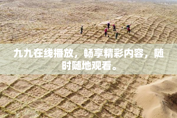 九九在线播放，畅享精彩内容，随时随地观看。