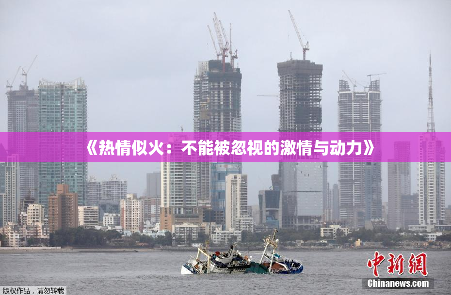 《热情似火：不能被忽视的激情与动力》