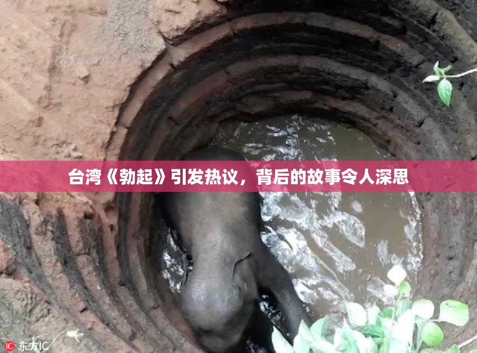 台湾《勃起》引发热议，背后的故事令人深思