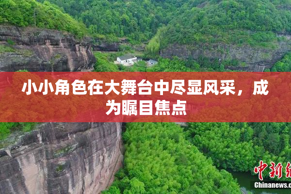 小小角色在大舞台中尽显风采，成为瞩目焦点
