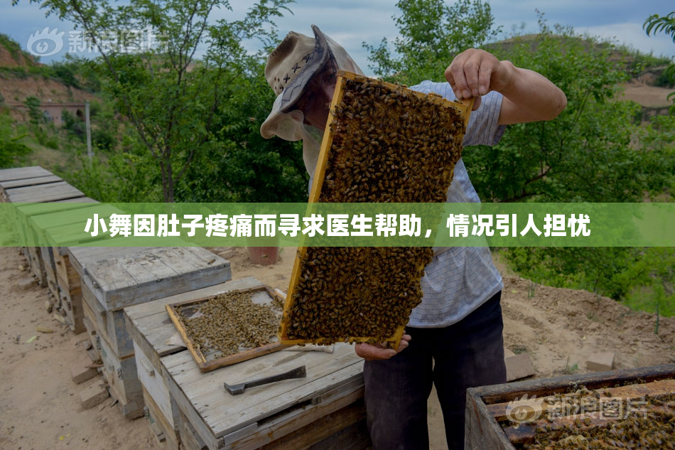小舞因肚子疼痛而寻求医生帮助，情况引人担忧