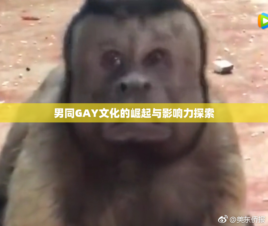 男同GAY文化的崛起与影响力探索