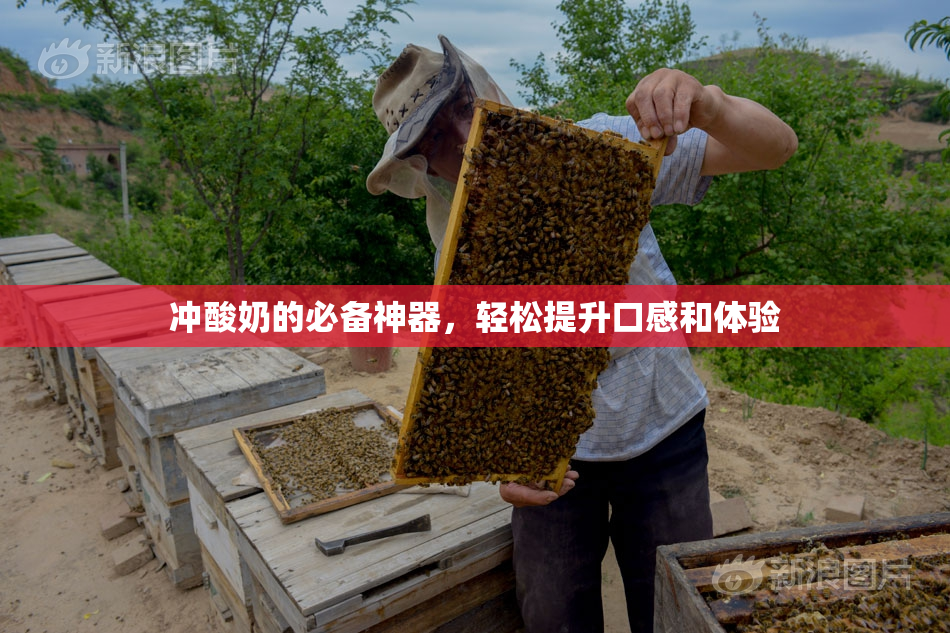 冲酸奶的必备神器，轻松提升口感和体验