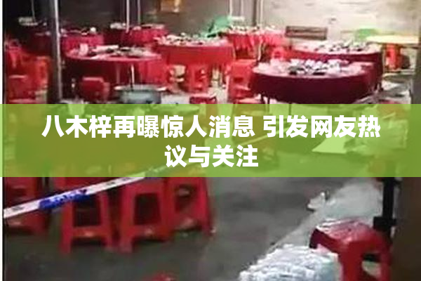 八木梓再曝惊人消息 引发网友热议与关注