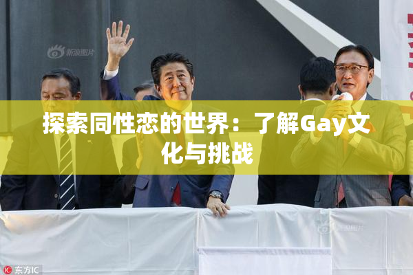 探索同性恋的世界：了解Gay文化与挑战