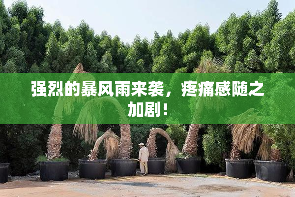 强烈的暴风雨来袭，疼痛感随之加剧！