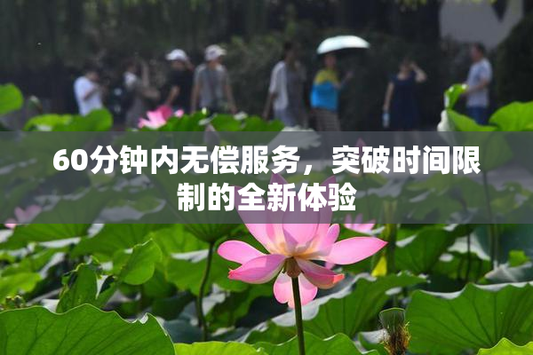 60分钟内无偿服务，突破时间限制的全新体验