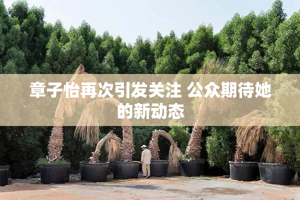 章子怡再次引发关注 公众期待她的新动态