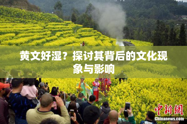 黄文好湿？探讨其背后的文化现象与影响