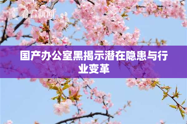 国产办公室黑揭示潜在隐患与行业变革